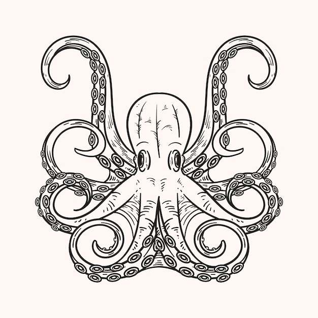 Бесплатное векторное изображение Нарисованная рукой иллюстрация рисунка осьминога