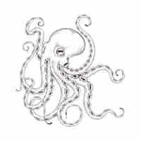 Free vector hand drawn octopus drawing illustration