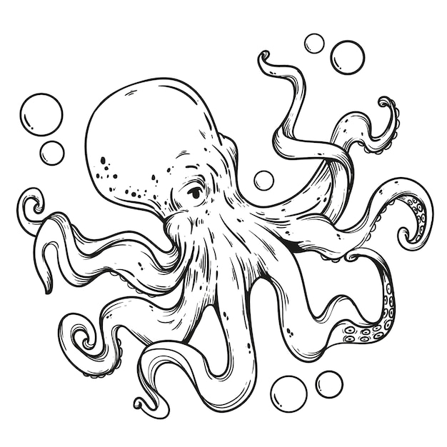 Free vector hand drawn octopus  outline illustration