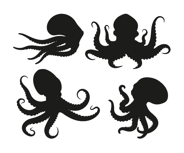 Hand drawn octopus silhouette