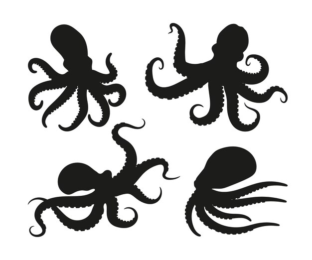 Hand drawn octopus silhouette