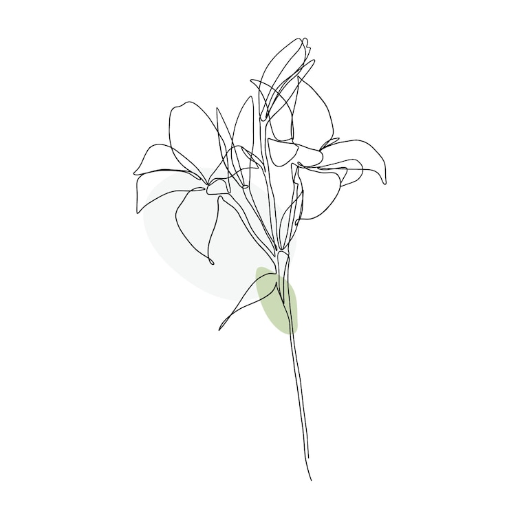Free Vector hand drawn one line art illustration