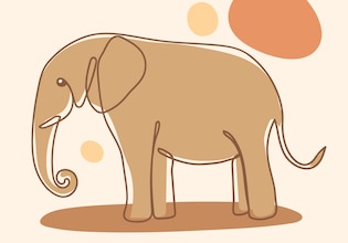 illustrazioni elefante