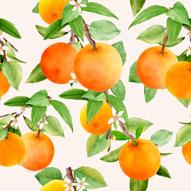 Vettore gratuito modello senza cuciture di frutta arancione disegnata a mano fruit