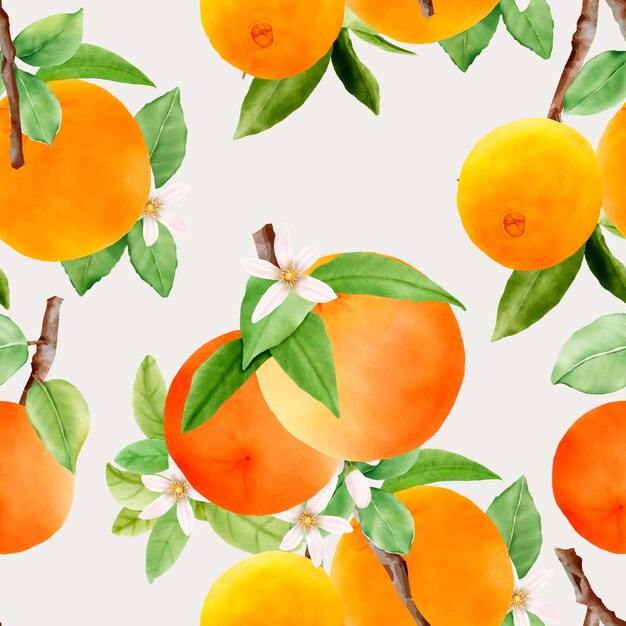 hand drawn orange fruit seamless pattern