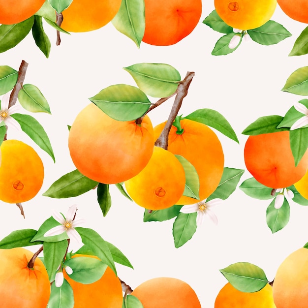 hand drawn orange fruit seamless pattern