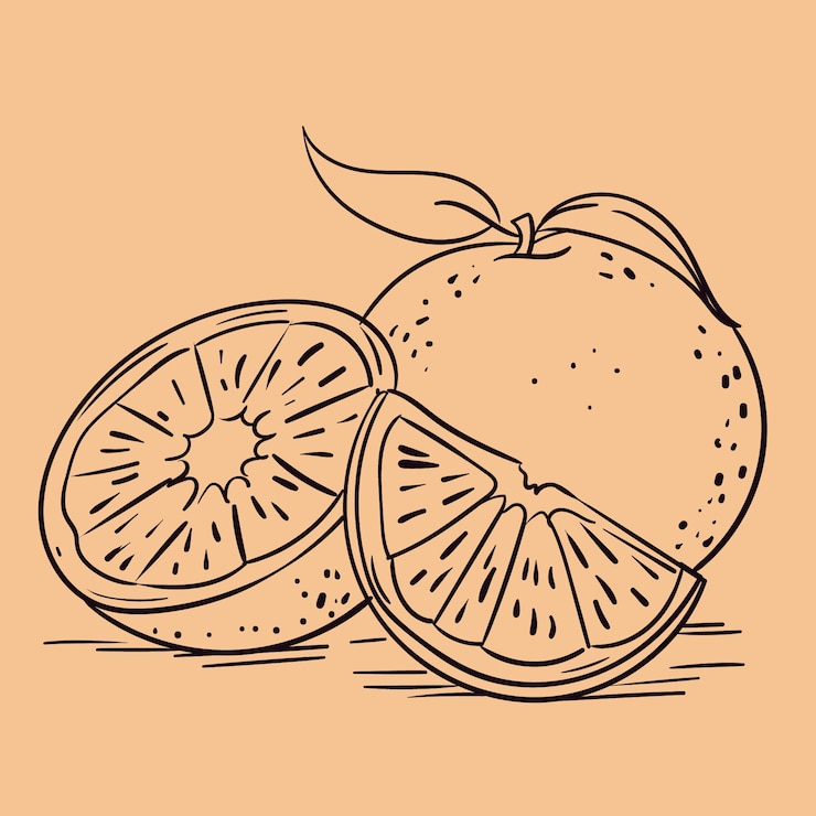Free Vector hand drawn orange  outline illustration