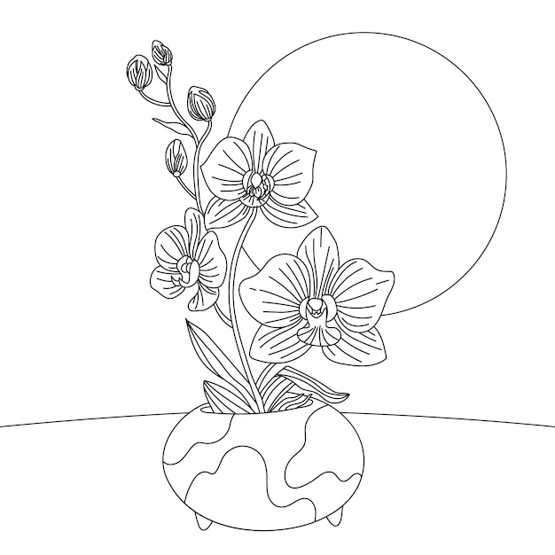 Hand drawn orchid  illustration