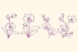 Vettore gratuito illustrazione disegnata a mano del profilo dell'orchidea