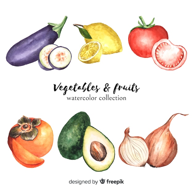 Hand drawn organic food collection