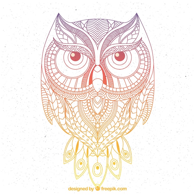 Hand drawn ornamental owl