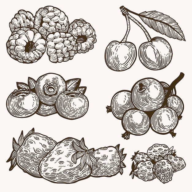 Free vector hand drawn outline fruits collection