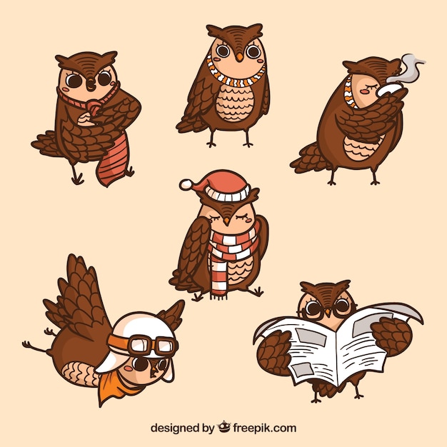 Free vector hand drawn owl collection