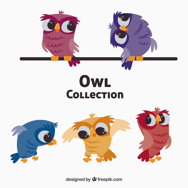 Hand drawn owl collection