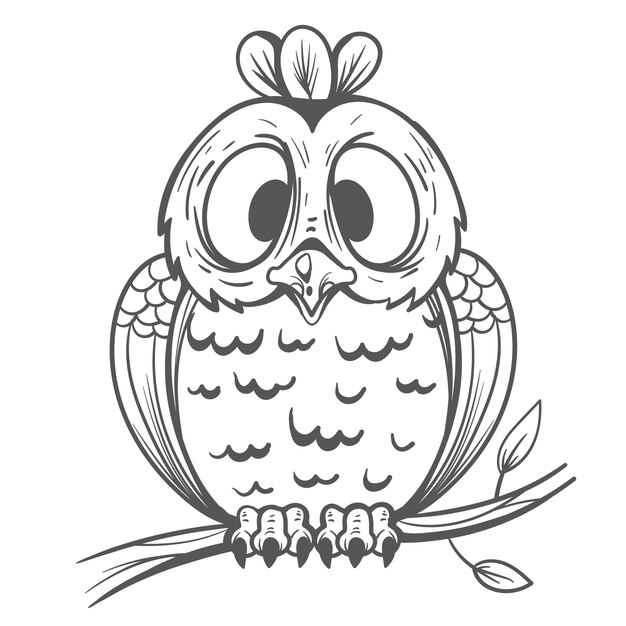 Hand drawn owl outline illustration