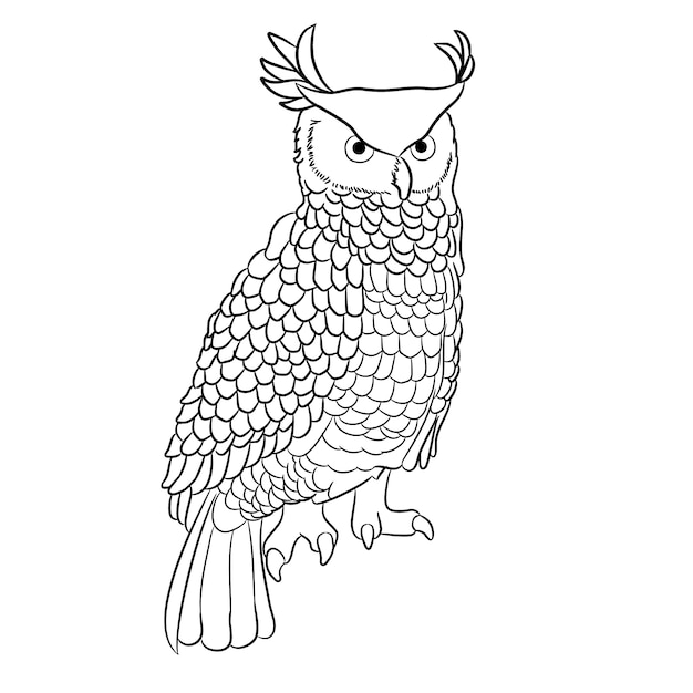 Free vector hand drawn owl outline illustration