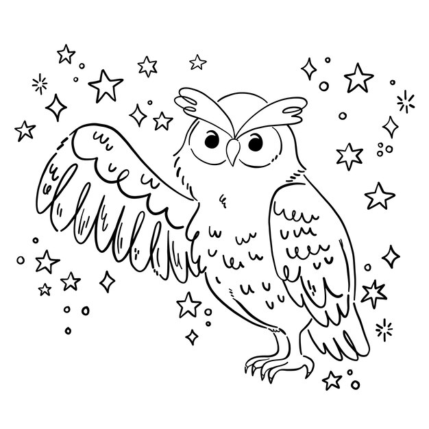 Hand drawn owl outline illustration