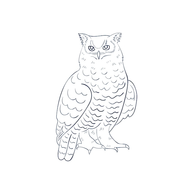 Free vector hand drawn owl outline illustration