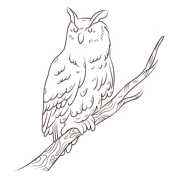 Hand drawn owl outline illustration