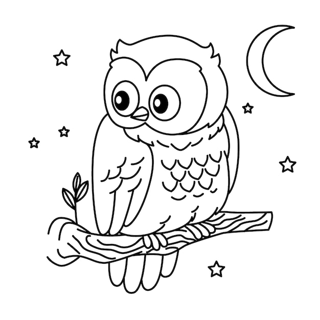 Hand drawn owl outline illustration