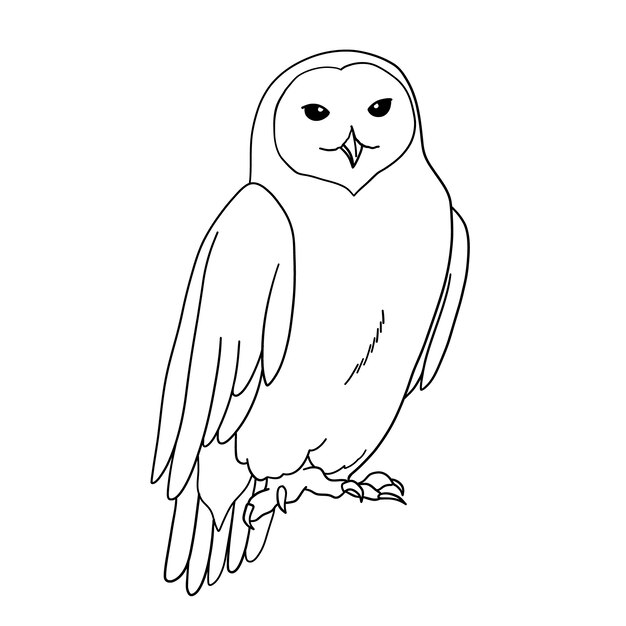 Hand drawn owl outline illustration