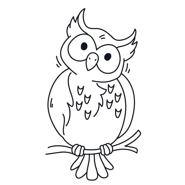 Hand drawn owl outline illustration