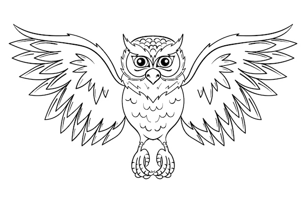 Hand drawn owl outline illustration