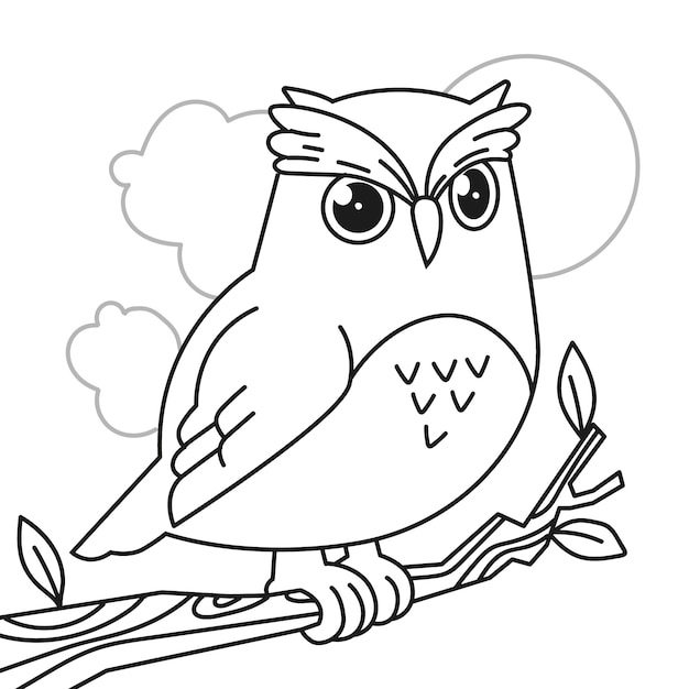 Hand drawn owl outline illustration