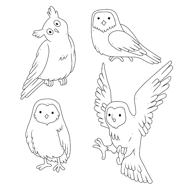 Free vector hand drawn owl outline illustration