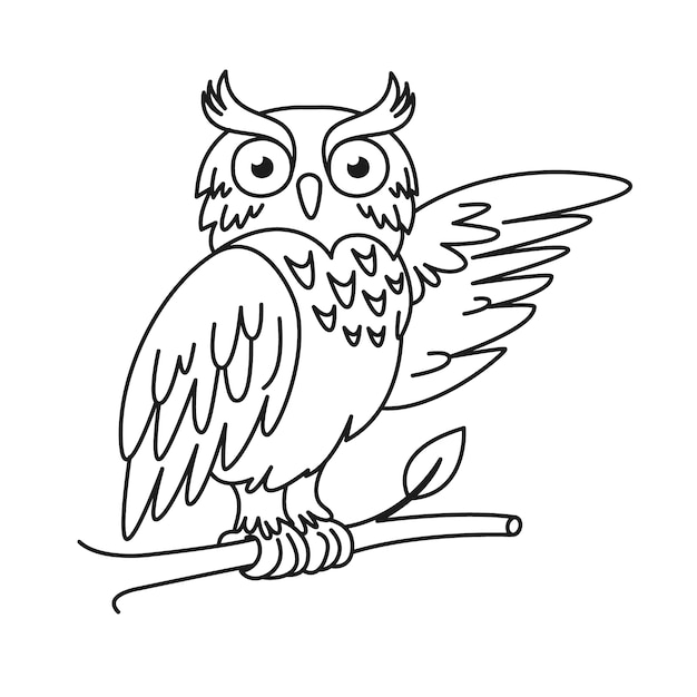 Hand drawn owl outline illustration