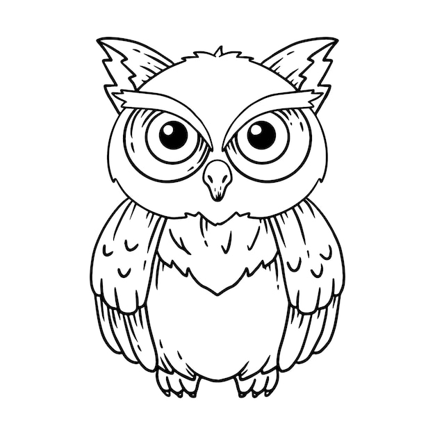 Hand drawn owl outline