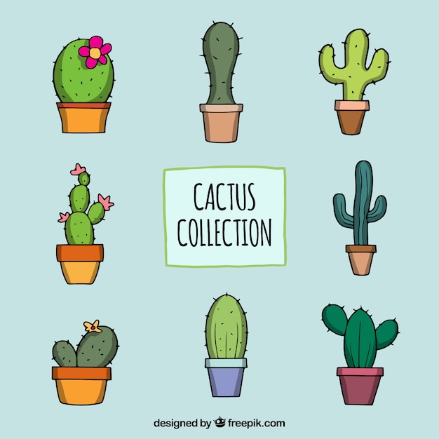 Vettore gratuito pacchetto disegnato a mano di cactus classico