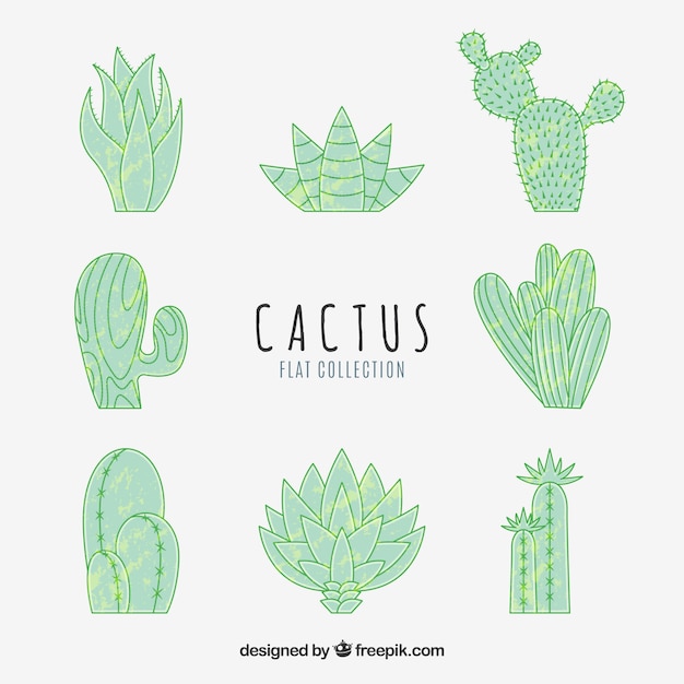 Free Vector hand drawn pack of fun cactus