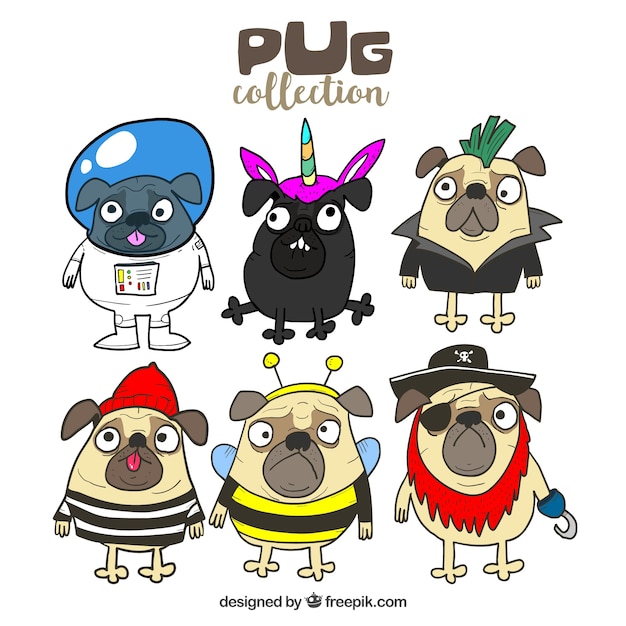 Hand drawn pack of funny pugs