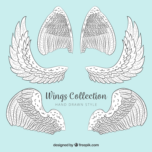 Free vector hand-drawn pack of great wings