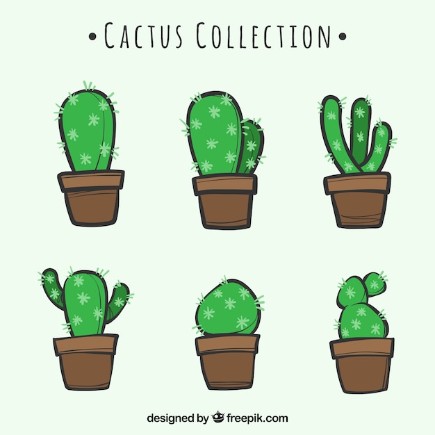 Hand drawn pack of lovely cactus