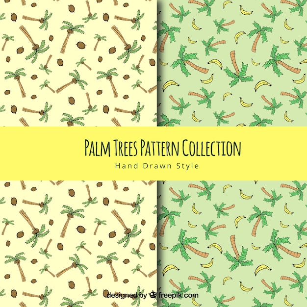 Hand drawn palm tree patterns