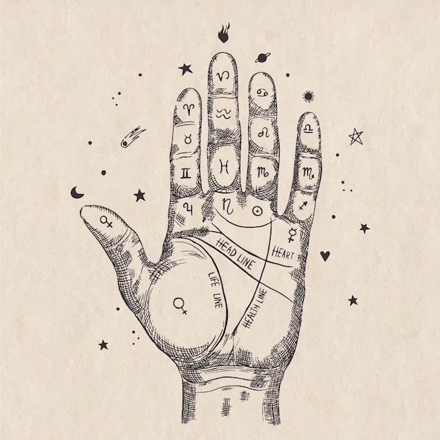 Hand drawn palmistry concept