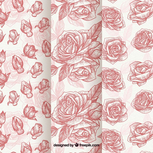 Hand drawn patterns of roses set
