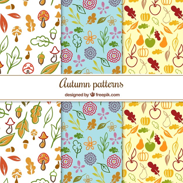 Hand drawn patterns with autumnal elements
