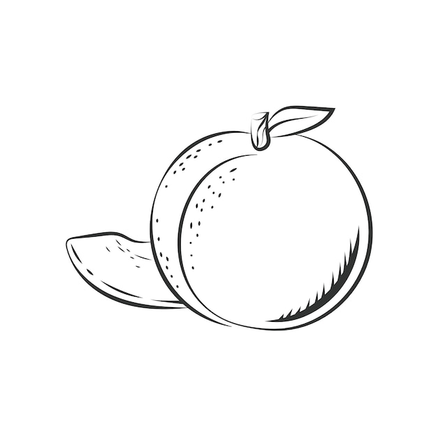 Free vector hand drawn peach outline illustration