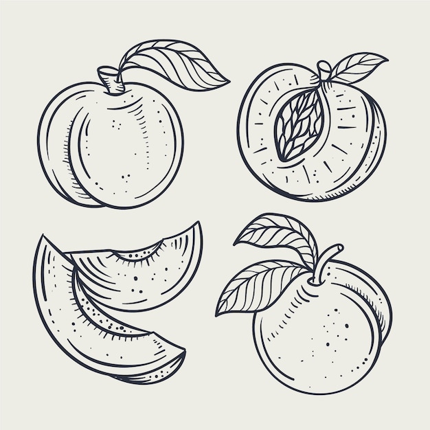 Free vector hand drawn peach outline illustration