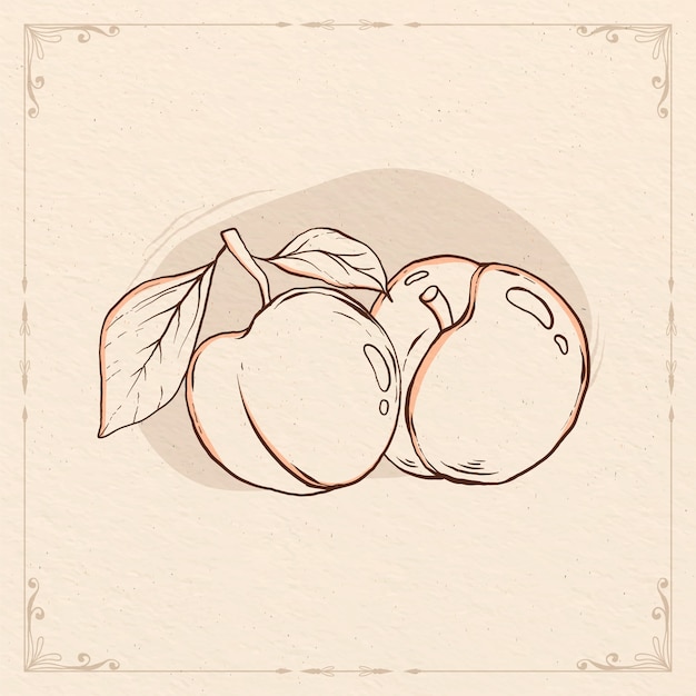 無料ベクター 手描きの桃の輪郭のイラスト
