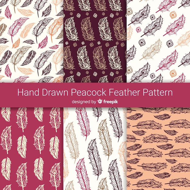 Hand drawn peacock feather pattern collection