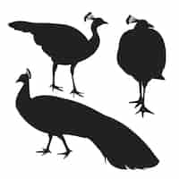 Free vector hand drawn peacock silhouette