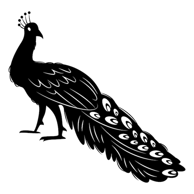 Free vector hand drawn peacock silhouette