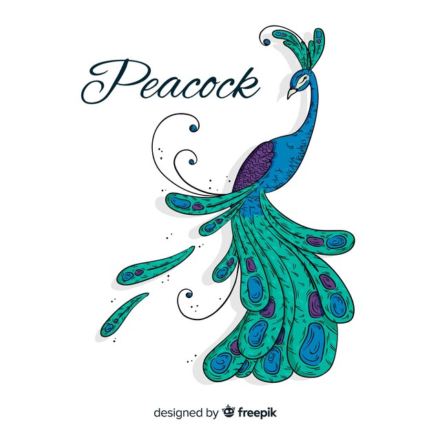 Hand drawn peacock