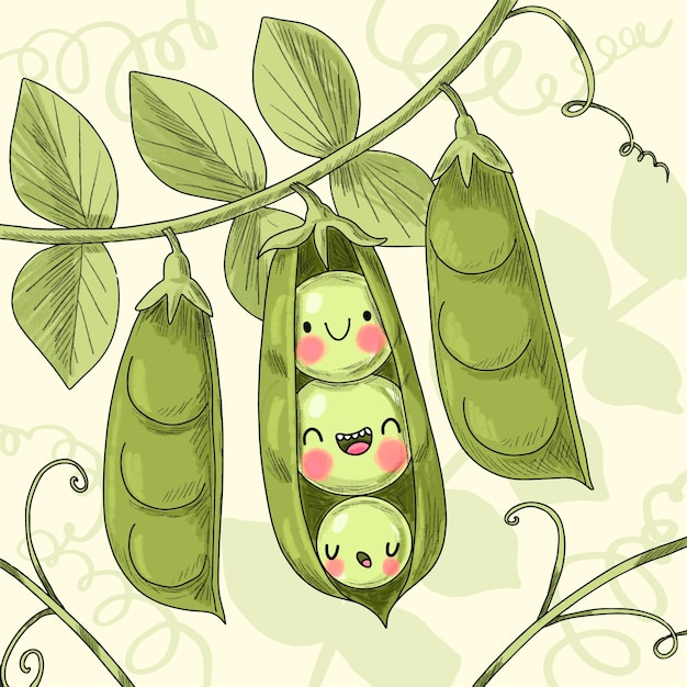 Hand drawn peas cartoon illustration