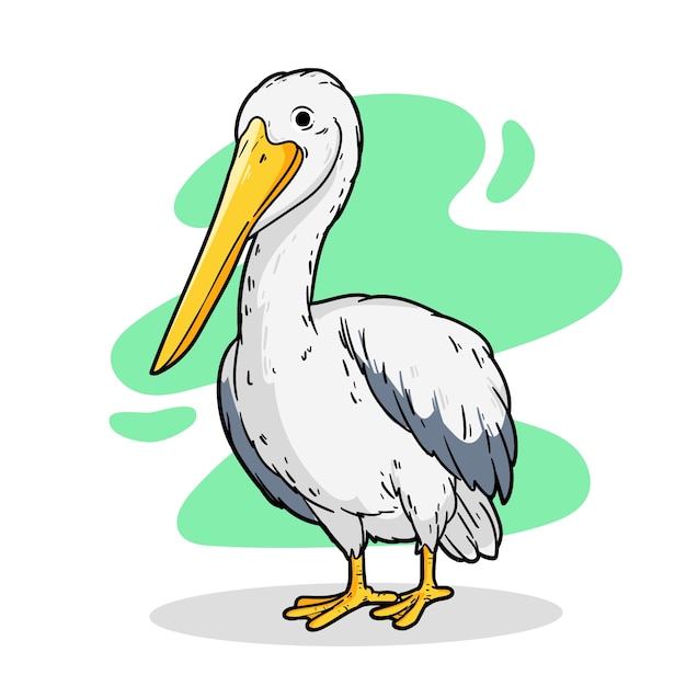 Hand drawn pelican  cartoon illustration