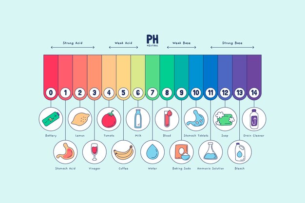 Hand drawn ph scale infographic